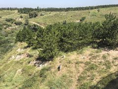 -鄂尔多斯野生动物园