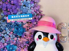 -重庆欢乐海底世界