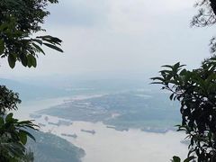 -铁山坪森林公园