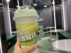 -茉酸奶(春熙路店)