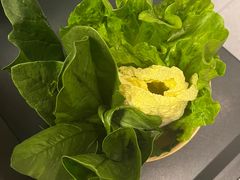 -大头椰·椰子鸡火锅(新梦店)