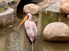 -上海动物园(地铁站)