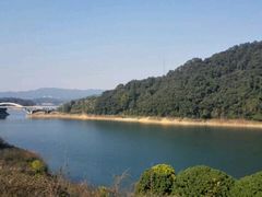 -广州市流溪河国家森林公园