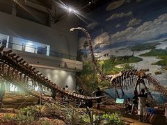 -自贡恐龙博物馆