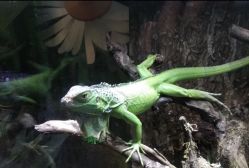 -酷嗒动物文化乐园(cutezoo西溪乐天城店)