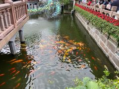 -豫园湖心亭茶楼