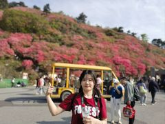 -木兰云雾山