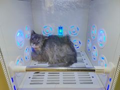 -PETKIT小佩宠物·低压洗护(国顺东路店)