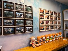 -梅纳·钢琴声乐架子鼓Mena Music(双井店)