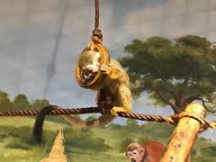 -绿色星球动物主题公园