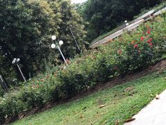 -人民公园(罗湖区)