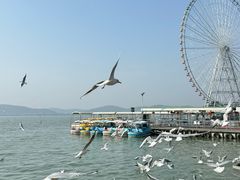 -蠡湖大桥公园