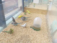 -怪兽屋·羊驼·猫咖·狗咖(俊华广场店)