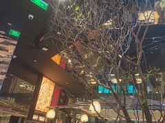 -桂满陇·海市蜃楼·黑金(国金店)