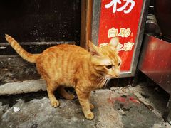 -陈建平麻花(磁器口总店)
