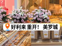 -美罗城