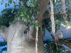 -金鸡岭桥头公园