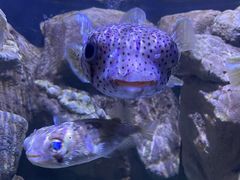 -成都浩海立方海洋公园