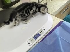 -美联众合动物医院·24h京西诊疗中心