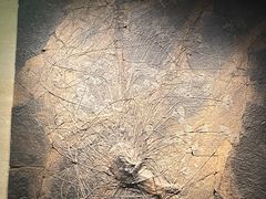 -浙江自然博物院(杭州馆)