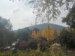 -宝界山林公园