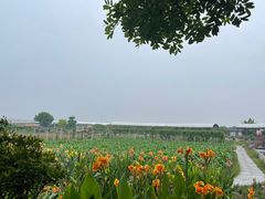 -新地休闲农场