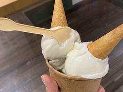 汕头油柑橄榄雪葩-歎雪糕低糖低脂Gelato冰淇淋