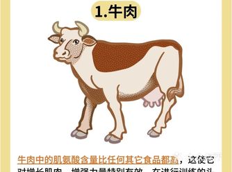 健身6大黄金增肌食物！！！