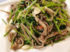 芫爆无碱纯肚丝-大眼锅贴饺子(河西店)