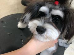 -多卡布奇宠物生活馆(上林世家店)