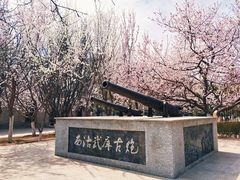 -桃花堤公园