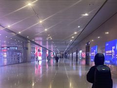 -石家庄站