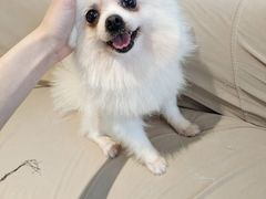 -怪兽屋·羊驼·猫咖·狗咖(俊华广场店)