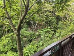 -泉州海丝野生动物世界