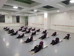 -西安小天鹅艺术团(金花路校区)