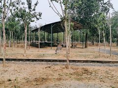 -秦皇岛野生动物园