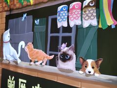-有猫主题·治愈系猫咖(曾厝垵店)