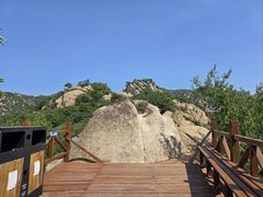 -大岭沟猕猴桃谷风景区