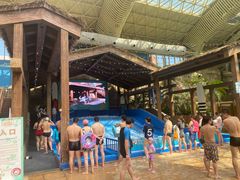 -杭州开元森泊度假乐园