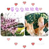 开心小长假，我们一起看小动物[胜利]