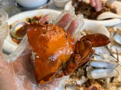 -莲花公园煎蟹(总店)