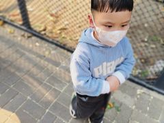 -丁香湖公园