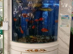 -齐家花园大酒店(宝山店)