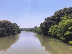 -大湾区中央湿地公园