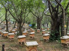 -广州莲花山旅游区