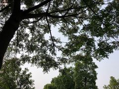 -滨湖塘西河公园