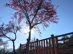 -丽江泸沽湖景区
