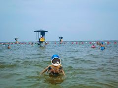 -碧海金沙