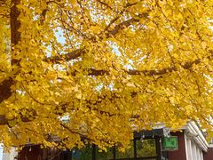 -辽宁大学(崇山校区)