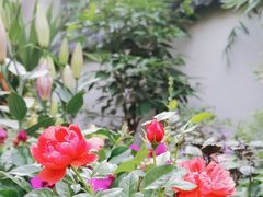 -耕渔小院·湖南鱼鲜(望城店)